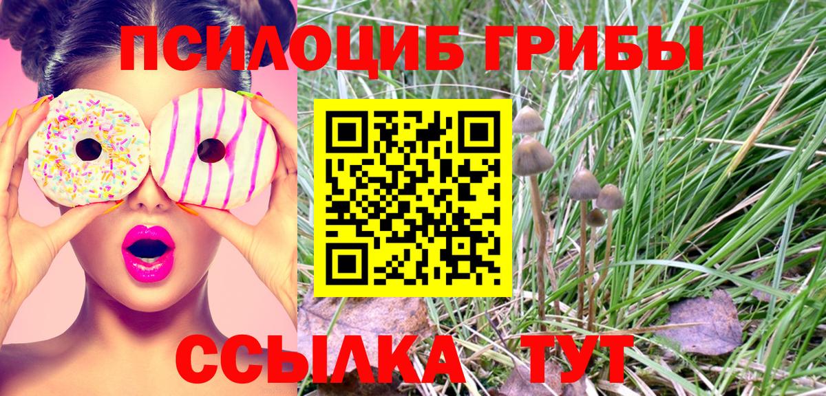 где купить   Вход с VPN  Саров  Галлюциногенные грибы прущие грибы 